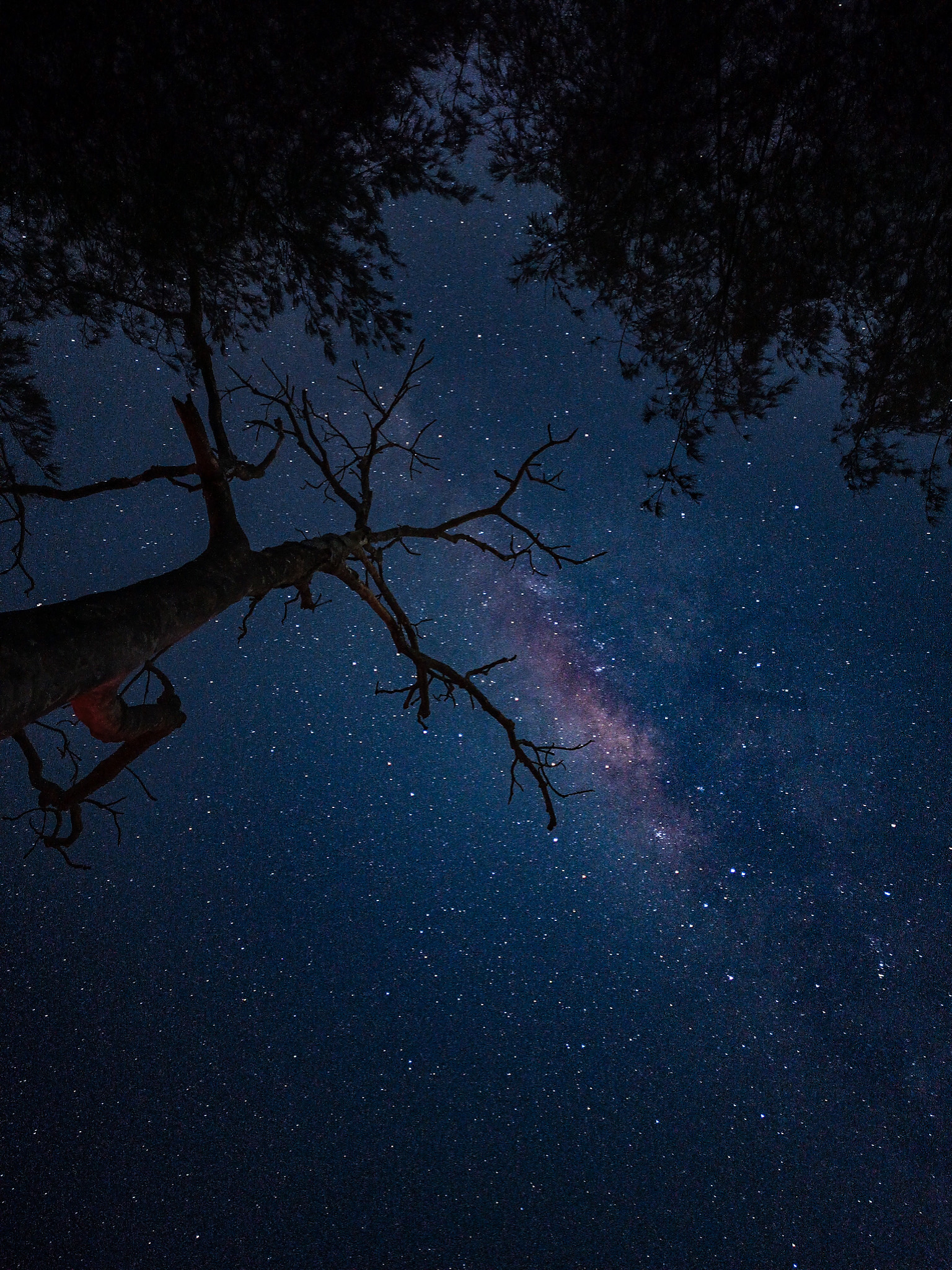 April to October, horizon to horizon — stargazing experience Bali gallery